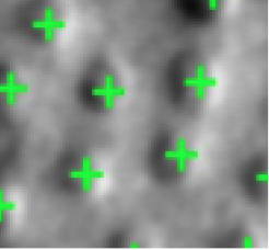 Cone detection image