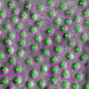 Cone detection ml image