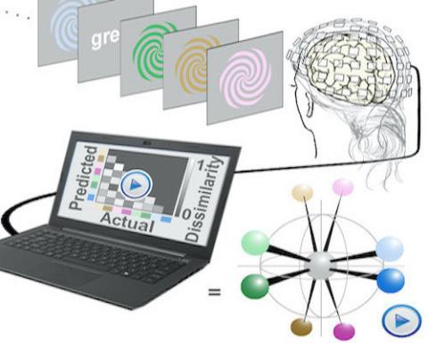 Decoding Color with Magnetoencephalography (MEG)