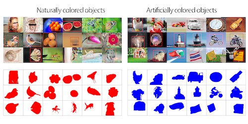 Object Color Statistics