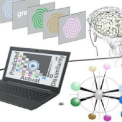 The Geometry of the Neural Representation of Color