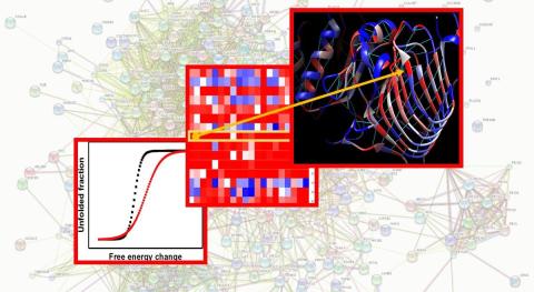 protein from genetics eye disorder graph